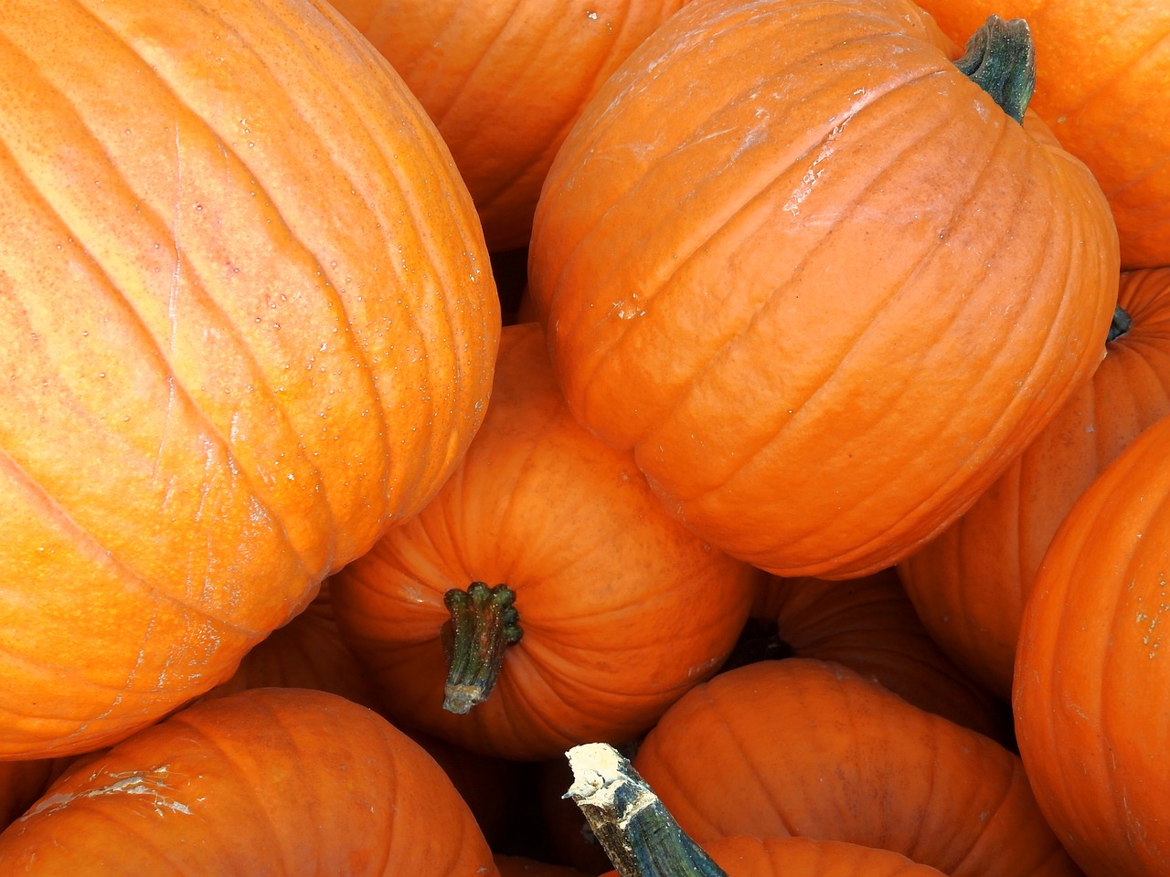 The Harvest Celebrations of Germany's Erntedankfest